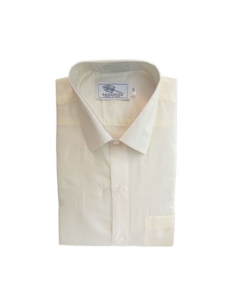 White coloured mens silk shirt
