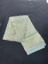 Mint Green Embroidered Saree 